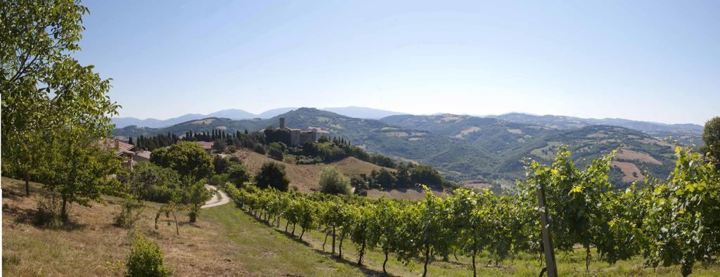 Agriturismo Tenuta Di Biscina Dış mekan fotoğraf
