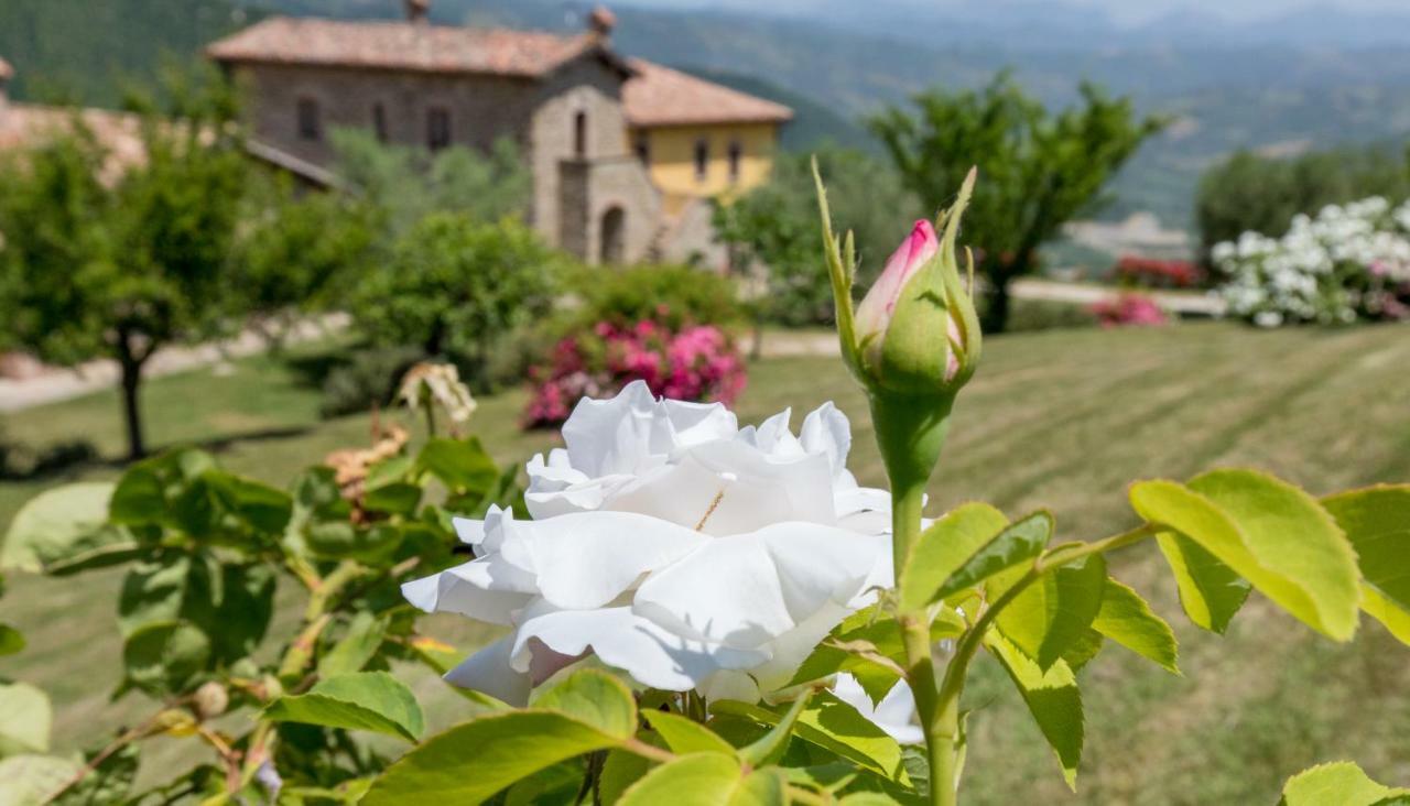 Agriturismo Tenuta Di Biscina Dış mekan fotoğraf